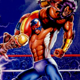 Saturday Night Slam Masters