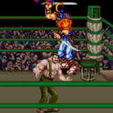 Final Fight
