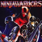The Ninja Warriors
