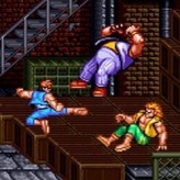 Super Double Dragon