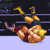 Hammerlock Wrestling