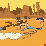 Road Runner