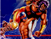 Saturday Night Slam Masters | RetroGames.Fun