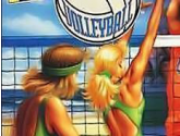 Volleyball Twin | RetroGames.Fun