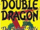 Double Dragon V: The Shadow Falls | RetroGames.Fun
