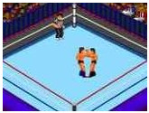 Fire Pro Wrestling 2 - 2nd Bou… - NEC PC Engine